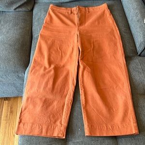 madewell Emmett curvy slim wide leg size 29 terracotta color